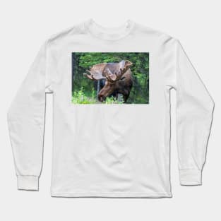 Wild Male Moose with Antlers in Alaska Long Sleeve T-Shirt